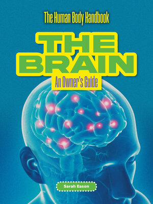 cover image of The Brain